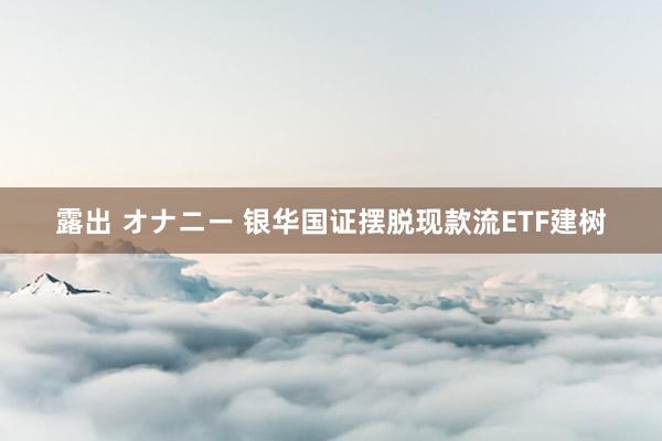 露出 オナニー 银华国证摆脱现款流ETF建树
