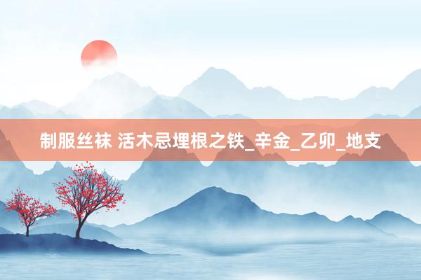 制服丝袜 活木忌埋根之铁_辛金_乙卯_地支