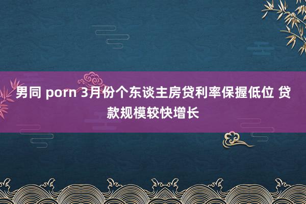 男同 porn 3月份个东谈主房贷利率保握低位 贷款规模较快增长