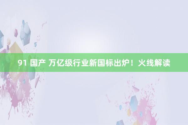 91 国产 万亿级行业新国标出炉！火线解读