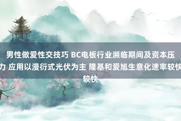 男性做爱性交技巧 BC电板行业濒临期间及资本压力 应用以漫衍式光伏为主 隆基和爱旭生意化速率较快