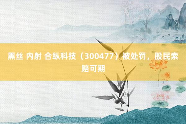 黑丝 内射 合纵科技（300477）被处罚，股民索赔可期
