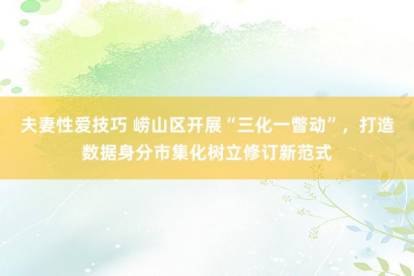 夫妻性爱技巧 崂山区开展“三化一瞥动”，打造数据身分市集化树立修订新范式