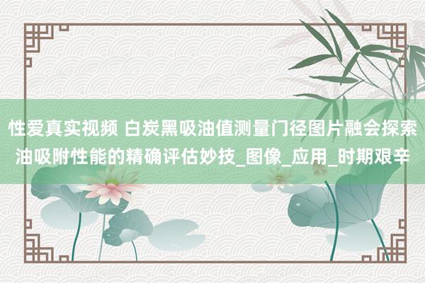 性爱真实视频 白炭黑吸油值测量门径图片融会探索油吸附性能的精确评估妙技_图像_应用_时期艰辛