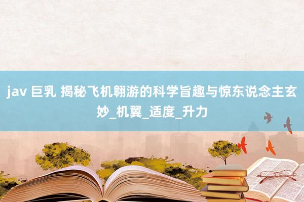 jav 巨乳 揭秘飞机翱游的科学旨趣与惊东说念主玄妙_机翼_适度_升力