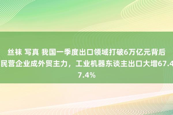 丝袜 写真 我国一季度出口领域打破6万亿元背后：民营企业成外贸主力，工业机器东谈主出口大增67.4%