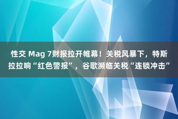 性交 Mag 7财报拉开帷幕！关税风暴下，特斯拉拉响“红色警报”，谷歌濒临关税“连锁冲击”