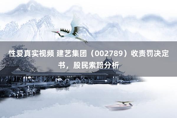 性爱真实视频 建艺集团（002789）收责罚决定书，股民索赔分析
