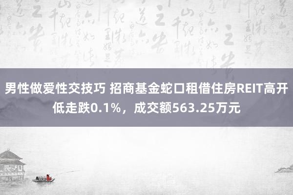 男性做爱性交技巧 招商基金蛇口租借住房REIT高开低走跌0.1%，成交额563.25万元