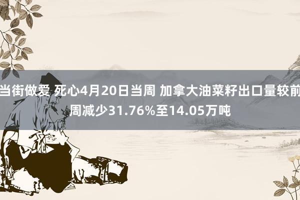 当街做爱 死心4月20日当周 加拿大油菜籽出口量较前周减少31.76%至14.05万吨