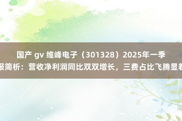 国产 gv 维峰电子（301328）2025年一季报简析：营收净利润同比双双增长，三费占比飞腾显着